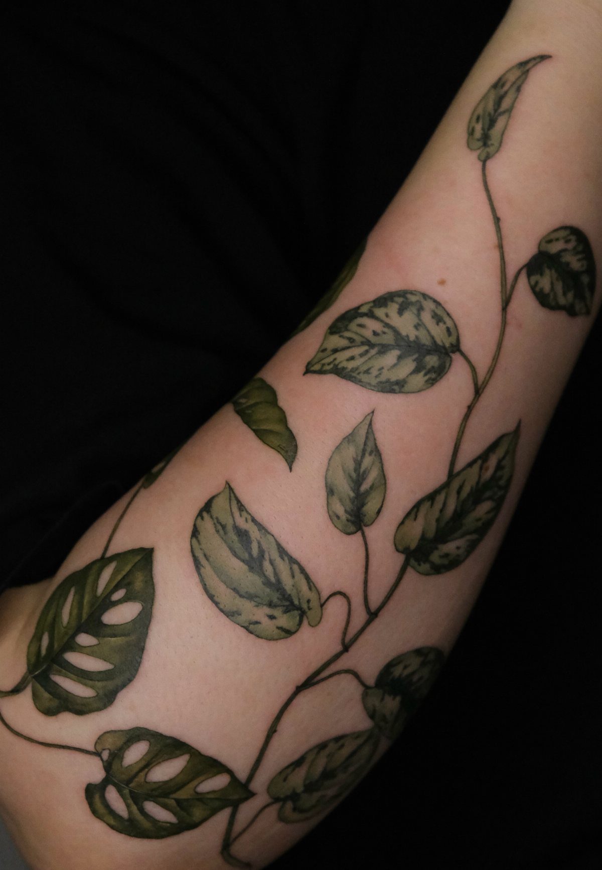A detailed tattoo of a green leafy vine winding around a person's arm.